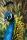Interdruk Puzzle 250 Teile Bunte Natur 1 Pfau