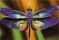 Interdruk Puzzle 250 Teile Bunte Natur 3 Libelle