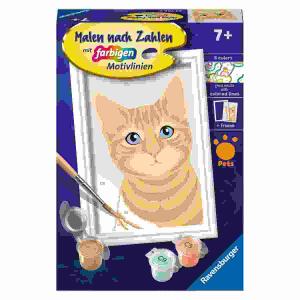 Malen nach Zahlen Serie F  Niedliche Katze, mit farbigen Motivlinien,, inklusive Pinsel und 5 Acrylfarben, ab 7 Jahren,, Ravensburger RAVENSBURGER