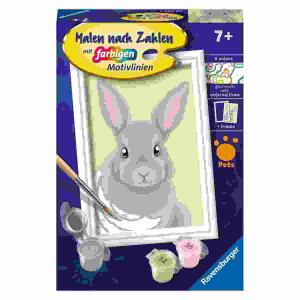 Malen nach Zahlen Serie F  Niedliches Kaninchen, mit farbigen Motivlinien,, inklusive Pinsel und 5 Acrylfarben, ab 7 Jahren,, Ravensburger RAVENSBURGER