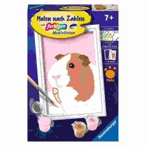 Malen nach Zahlen Serie F  Niedliches, Meerschweinchen, mit farbigen Motivlinien,, inklusive Pinsel und 6 Acrylfarben, ab 7 Jahren,, Ravensburger RAVENSBURGER