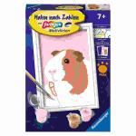 Malen nach Zahlen Serie F  Niedliches, Meerschweinchen,...