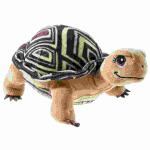 SDMT Schildkröte GRS "Henrietta"...