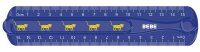 4x Interdruk Flexibles biegsames Lineal 15cm BeBe Kinder in 4 Motiven