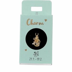 Charm Wassermann  Nr.22, für Halsketten und Armbänder,, Depesche