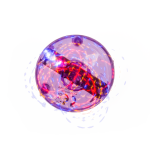 OOTB Kreisel Colours I mit LED (inkl. Batterie) &