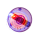OOTB Kreisel Colours I mit LED (inkl. Batterie) &