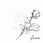 Servietten 33x33cm  Forever in my Heart black, 3-lagig, 20er
