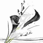 Servietten 33x33cm  Black & White Calla, 3-lagig, 20er