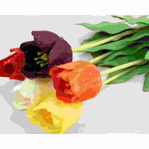 Tulpe mit Regentropfen  6-fach sortiert