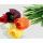 Tulpe mit Regentropfen  6-fach sortiert