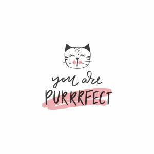 Motivtaschentuch FSC-Mix  10er Purrrfect FSC-Mix, Paper+Design