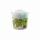 Sour Busters Cotton Candy  Apfelgeschmack 50g, Zuckerwatte im Eimer mit Deckel,, Sweetn Fun