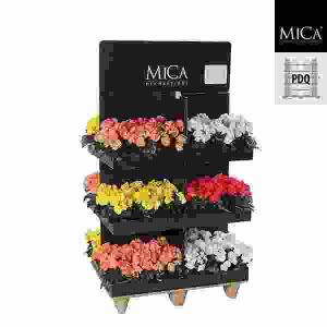 Kunstpflanze Begonia  im Topf H9cm lachs, 25x20cm
