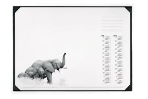 Durable Schreibunterlage 590x420mm bt Kalenderblock 2 Jahre AFRICA