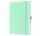 SIGEL JN409 Notizbuch Jolie - mighty mint - liniert - 100 g/m² - ca. A5 - mintgrün - Hardcover - 192 Seiten - FSC-zertifiziert