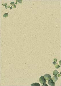 Motiv-Papier - Eukalyptuszweige - grün/braun - 100 g/m² - A4 100 Blatt
