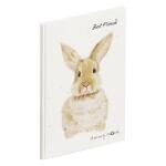 Pagna Freundebuch Hase 60S