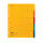 Register Karton, 24 x 29,7cm, Colorspan-Krt., 5-teilig, 5 Farben