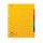 Register Karton, 24 x 29,7cm, Colorspan-Krt., 6-teilig, 5 Farben