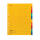 Register Karton, 24 x 29,7cm, Colorspan-Krt., 10-teilig, 5 Farben