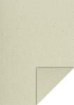 KartonA4 gras FSC 4005329154799