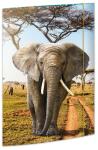 Roth Tierische Zeichenmappen A3, 15er Sortiment bestehend aus je 3x 45375, 45376, 45377, 45381, 45367