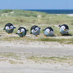 HQ Windspiel Bouncing Birdeez Penguin
