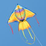 HQ Delta Rainbow Fish 140 cm