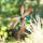 HQ Windspiel Paddle Spinner Duck