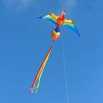 Ecoline Kinderdrachen Parrot Kite