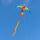 Ecoline Kinderdrachen Parrot Kite
