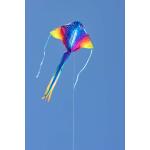 Ecoline Kinderdrachen Simple Flyer Manta 120 cm