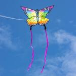 Ecoline Kinderdrachen Butterfly Kite Rainbow 120 cm