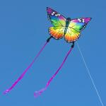Ecoline Kinderdrachen Butterfly Kite Rainbow 120 cm