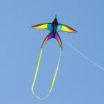 HQ Vogeldrachen Swallow Kite Rainbow