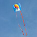 HQ Stabloser Drachen Sleddy Hot Air Balloon