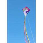 Ecoline Kinderdrachen Eddy Unicorn 70 cm