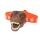 Brainstorm T-Rex-Stirnlampe 5060122733830