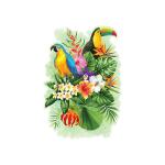 Wooden City Tropical Birds