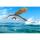 Metal Earth Avatar 2 Skimwing