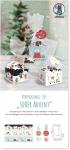 VERPACKUNGS-SET "SÜSSER ADVENT"