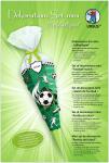 DEKO-SET SCHULTÜTE EASY LINE MINI...