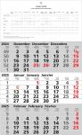 2025 ADINA Dreimonatskalender 49x30cm mit Tagesanzeiger...