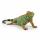 Spielfigur Leguan