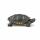 Spielfigur Florida Schildkröte