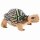 SDMT Schildkröte GRS "Henrietta" klein Größe 18 cm