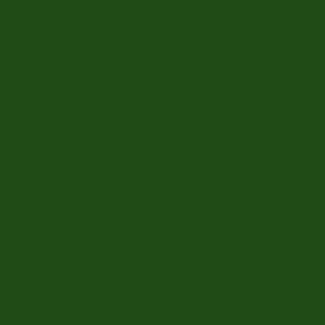 Servietten Soft Touch green forest 19x19cm 40 Stück 2-lagig microgeprägt