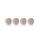 magnetoplan Design Magnets Wood Series Cube Ø30mm 4 Stück Birke Haftkraft 4kg