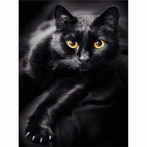 PRACHT Diamond Painting Schwarze Katze 40x30cm